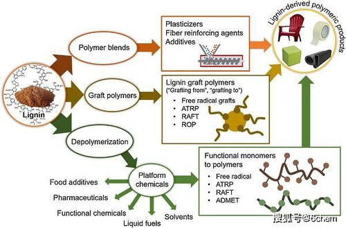 生物基高分子材料 化學(xué)合成與材料加工的融合與發(fā)展——Polymer Science領(lǐng)域綜述